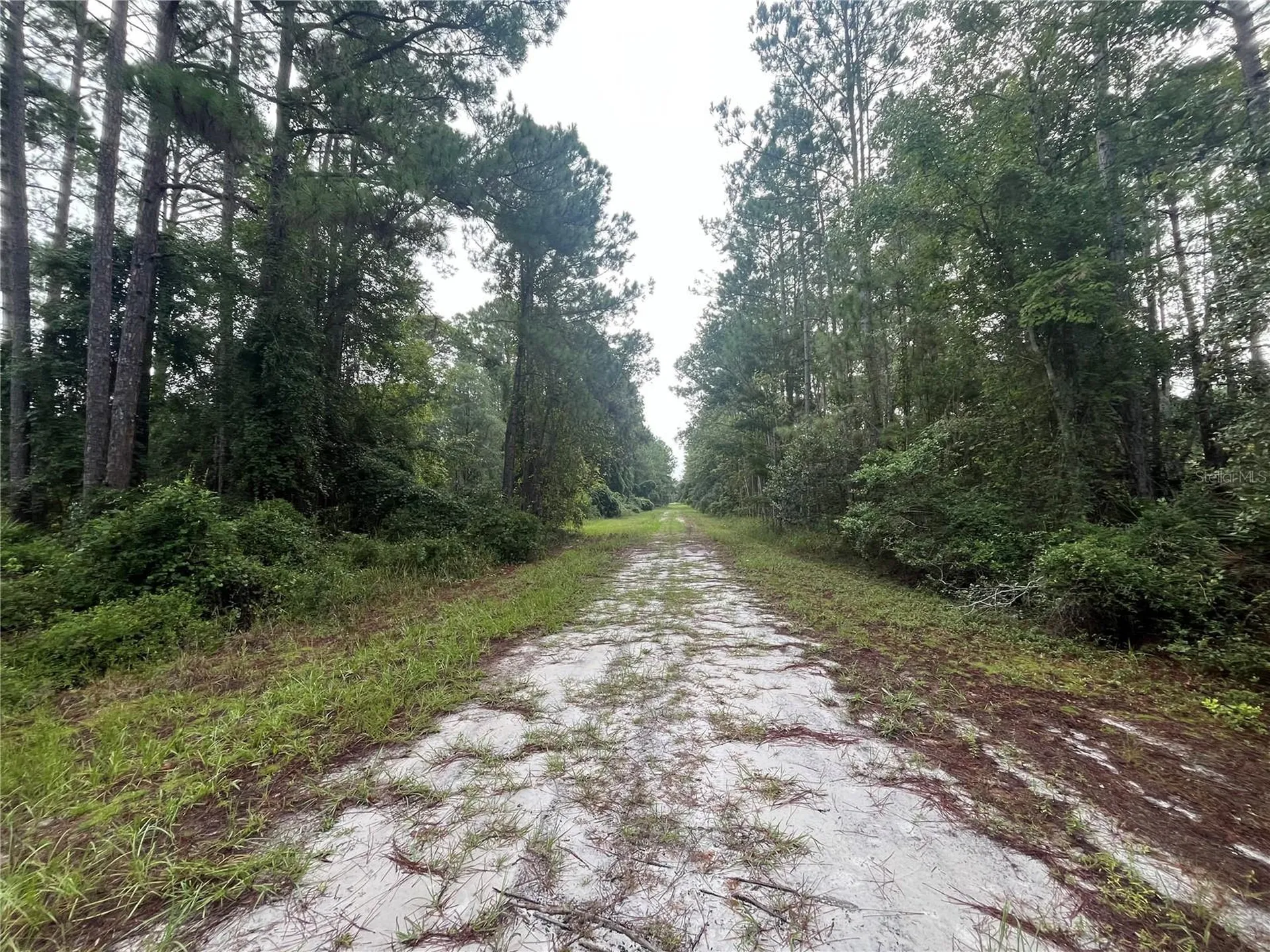 120 Gardenia Avenue Georgetown FL 32139