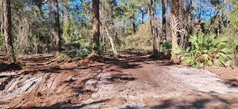 120 Gardenia Avenue Georgetown FL 32139