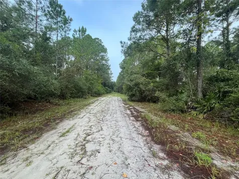 120 Gardenia Avenue Georgetown FL 32139