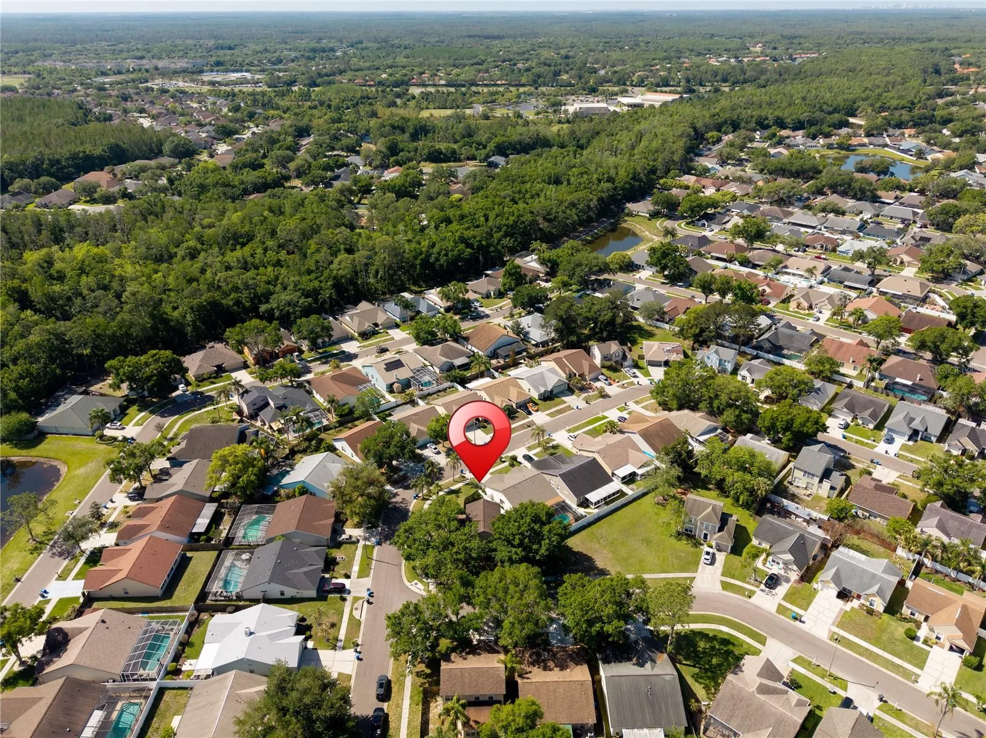 9758 Fox Hollow Road Tampa FL 33647