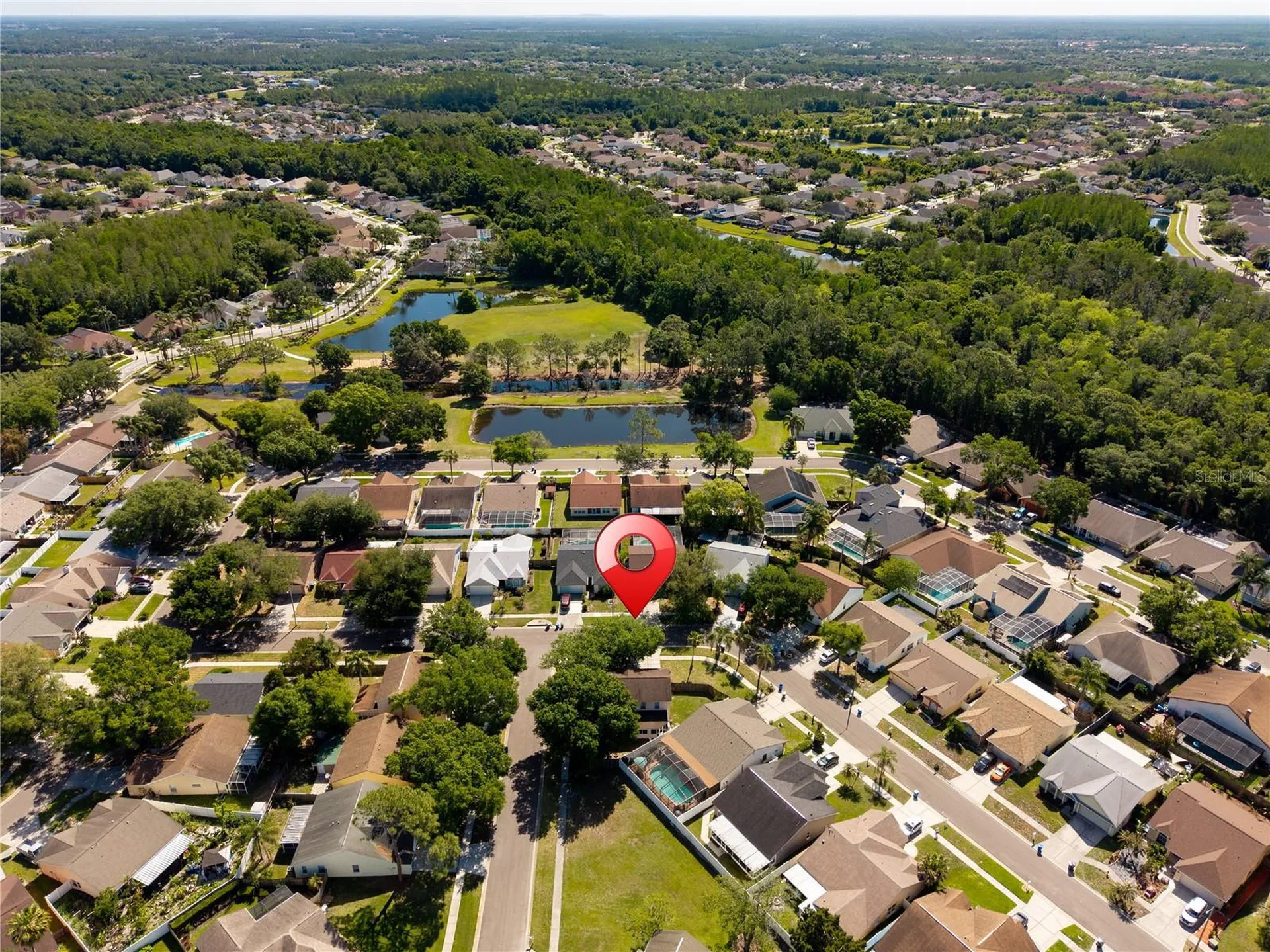 9758 Fox Hollow Road Tampa FL 33647