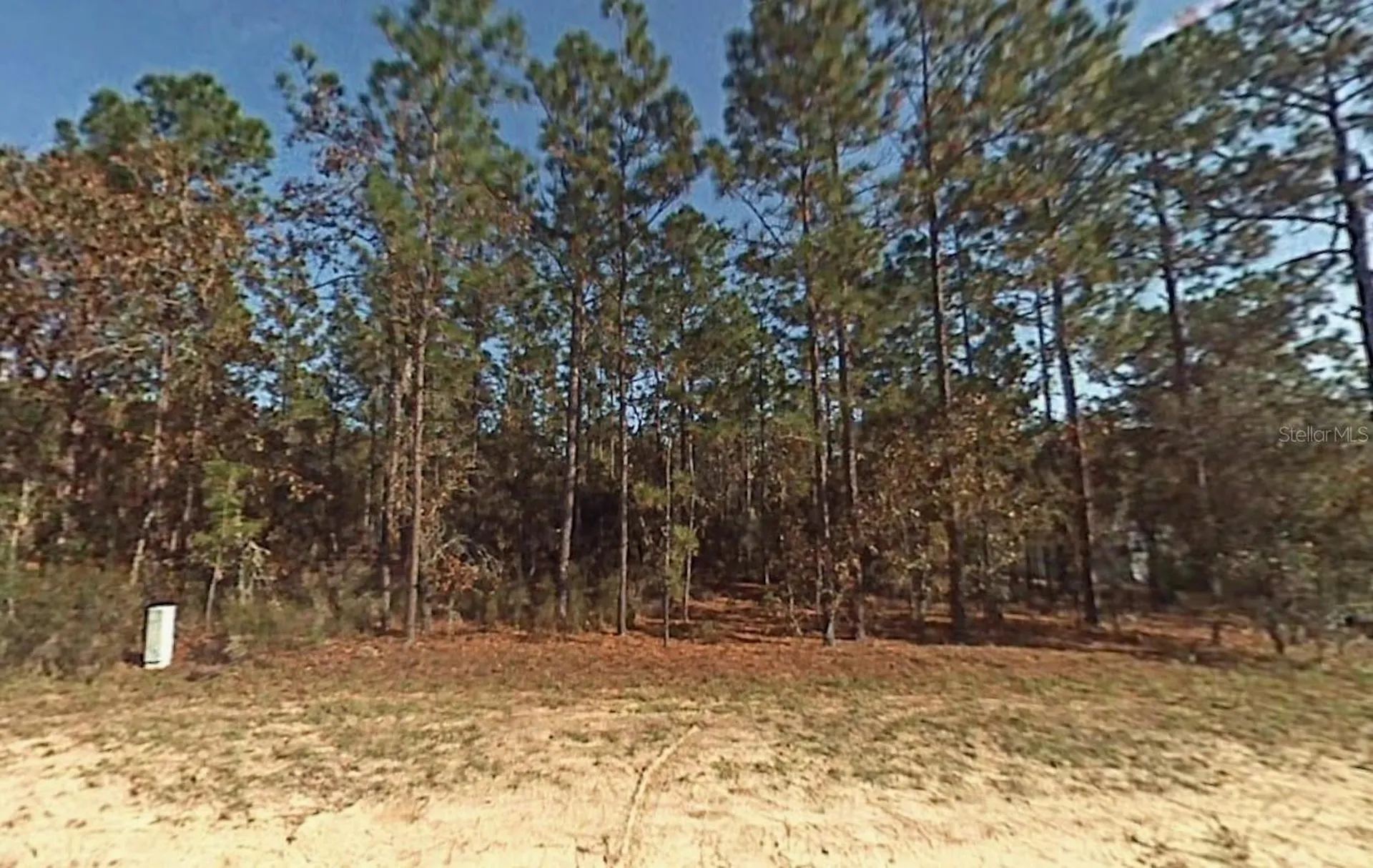 Lot 5 SW 166th Court Road Dunnellon FL 34432