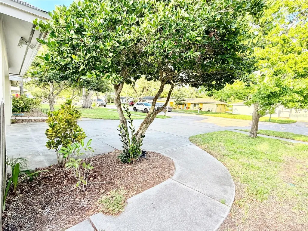 1880 Oak Forest Drive E Clearwater FL 33759
