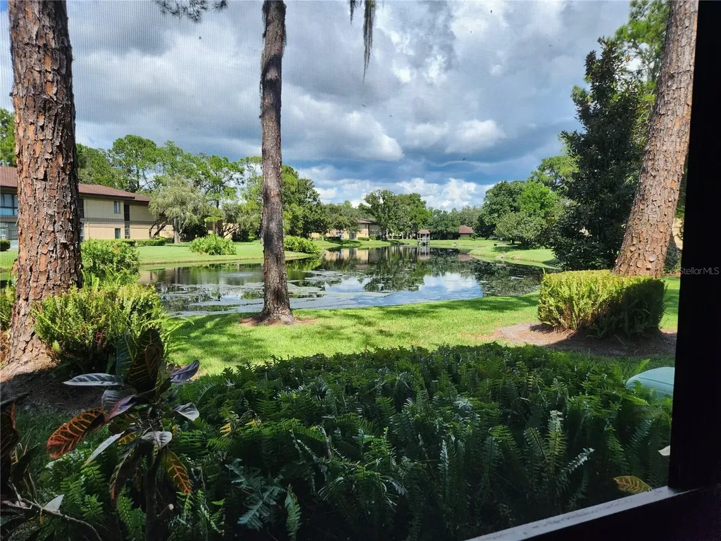 2685 Sabal Springs Circle Clearwater FL 33761