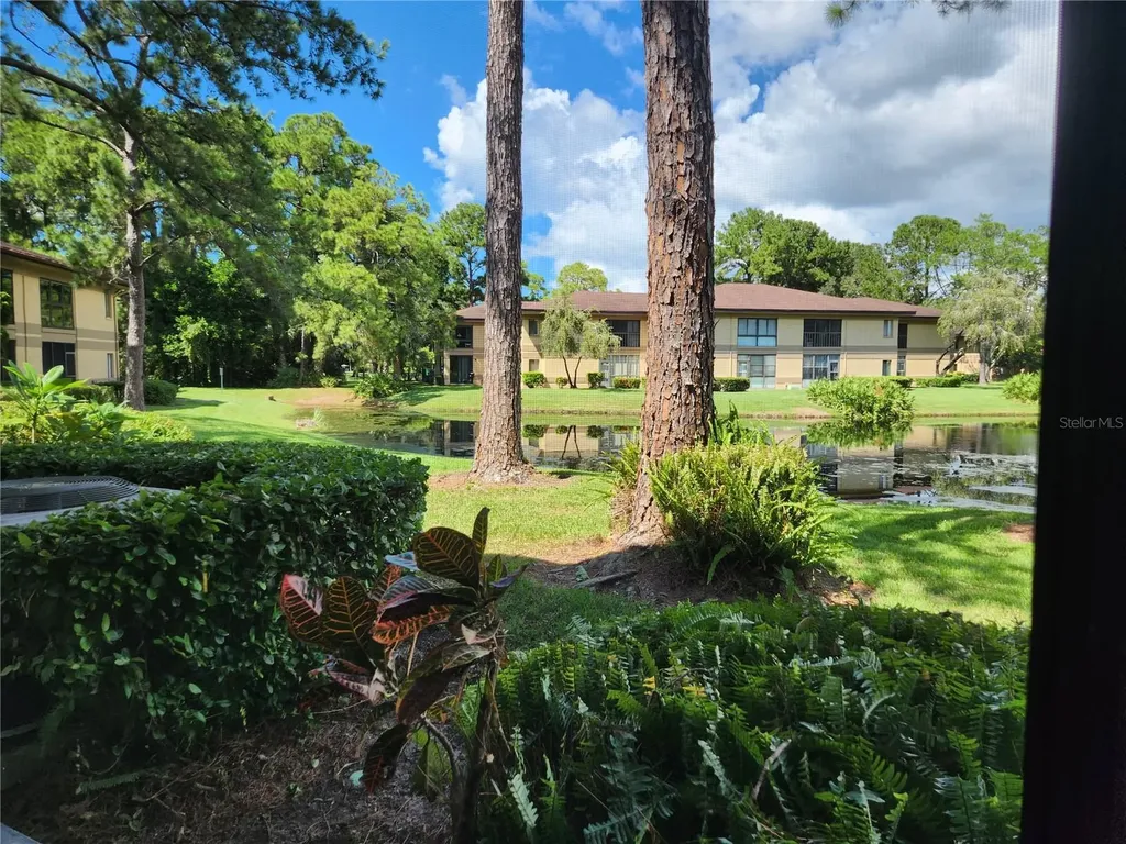 2685 Sabal Springs Circle Clearwater FL 33761