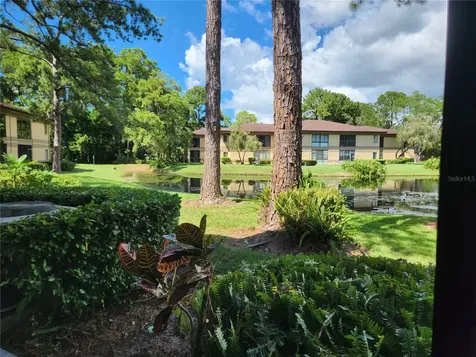 2685 Sabal Springs Circle Clearwater FL 33761