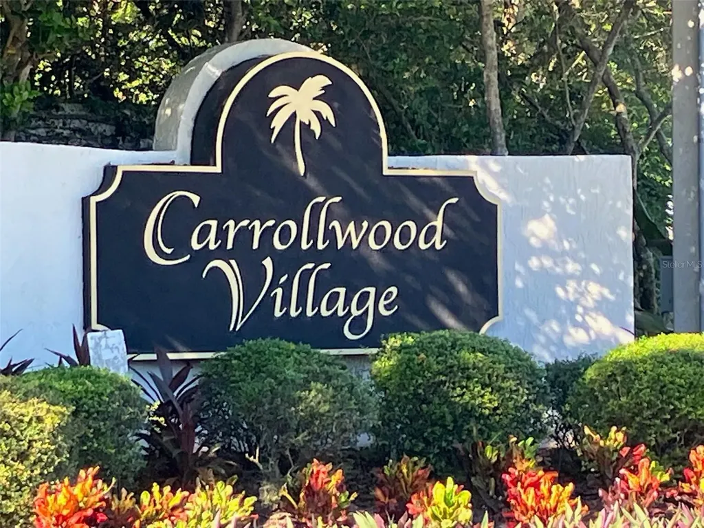 4168 Northmeadow Circle Tampa FL 33618