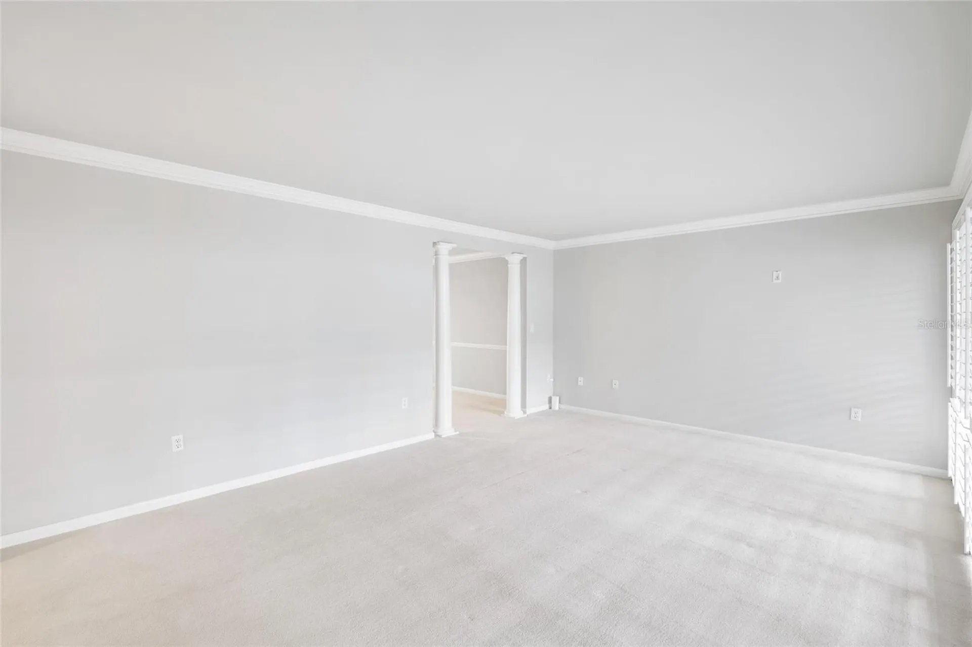 4168 Northmeadow Circle Tampa FL 33618