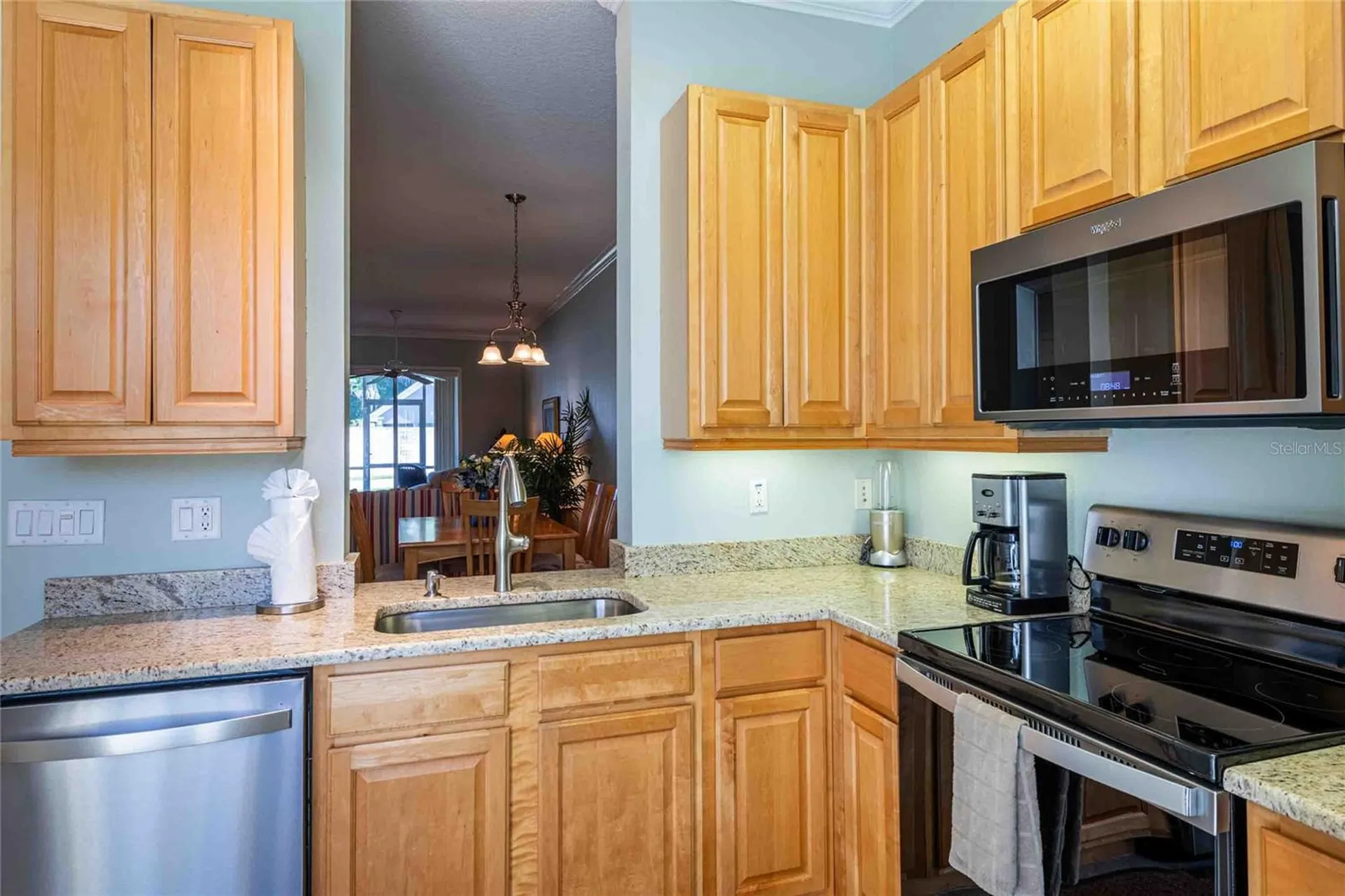 21011 Picasso Court Land O Lakes FL 34637