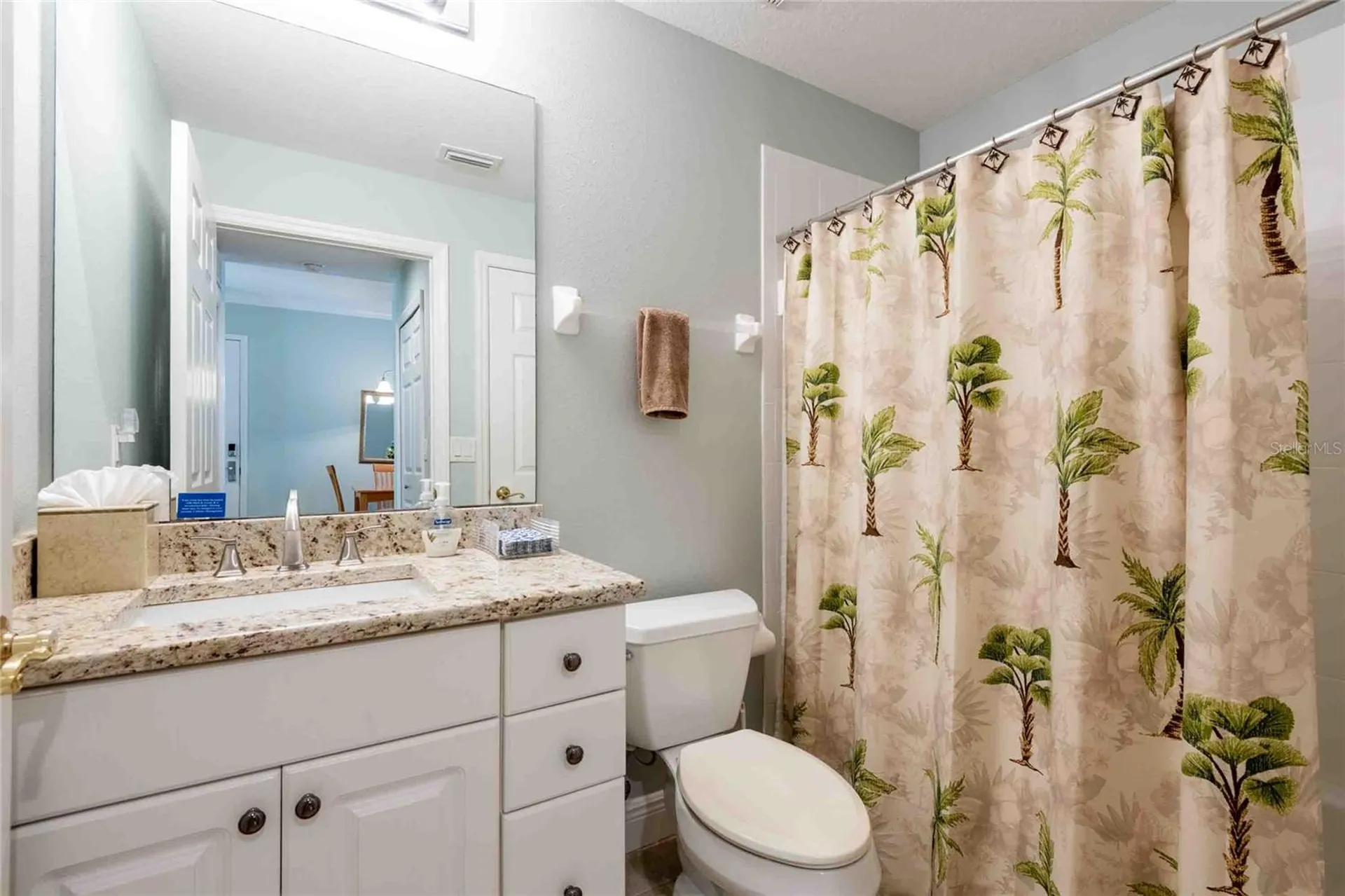 21011 Picasso Court Land O Lakes FL 34637