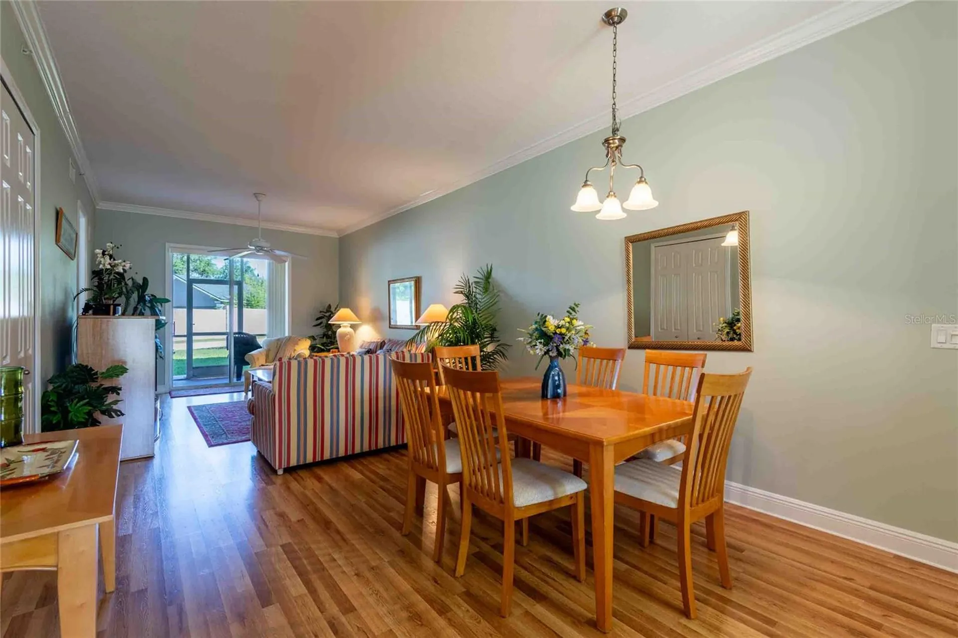 21011 Picasso Court Land O Lakes FL 34637