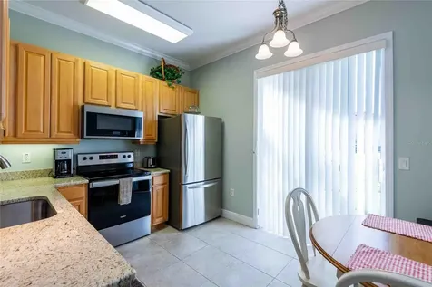21011 Picasso Court Land O Lakes FL 34637