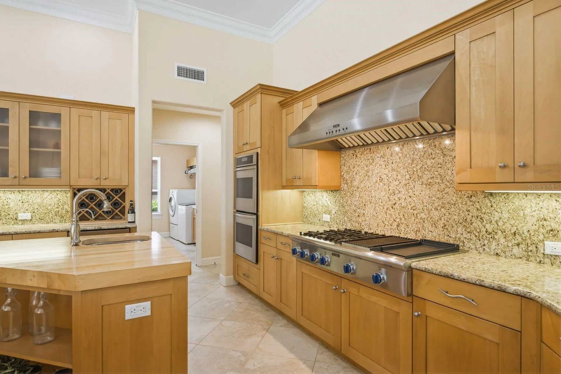 976 Cypress Cove Way Tarpon Springs FL 34688