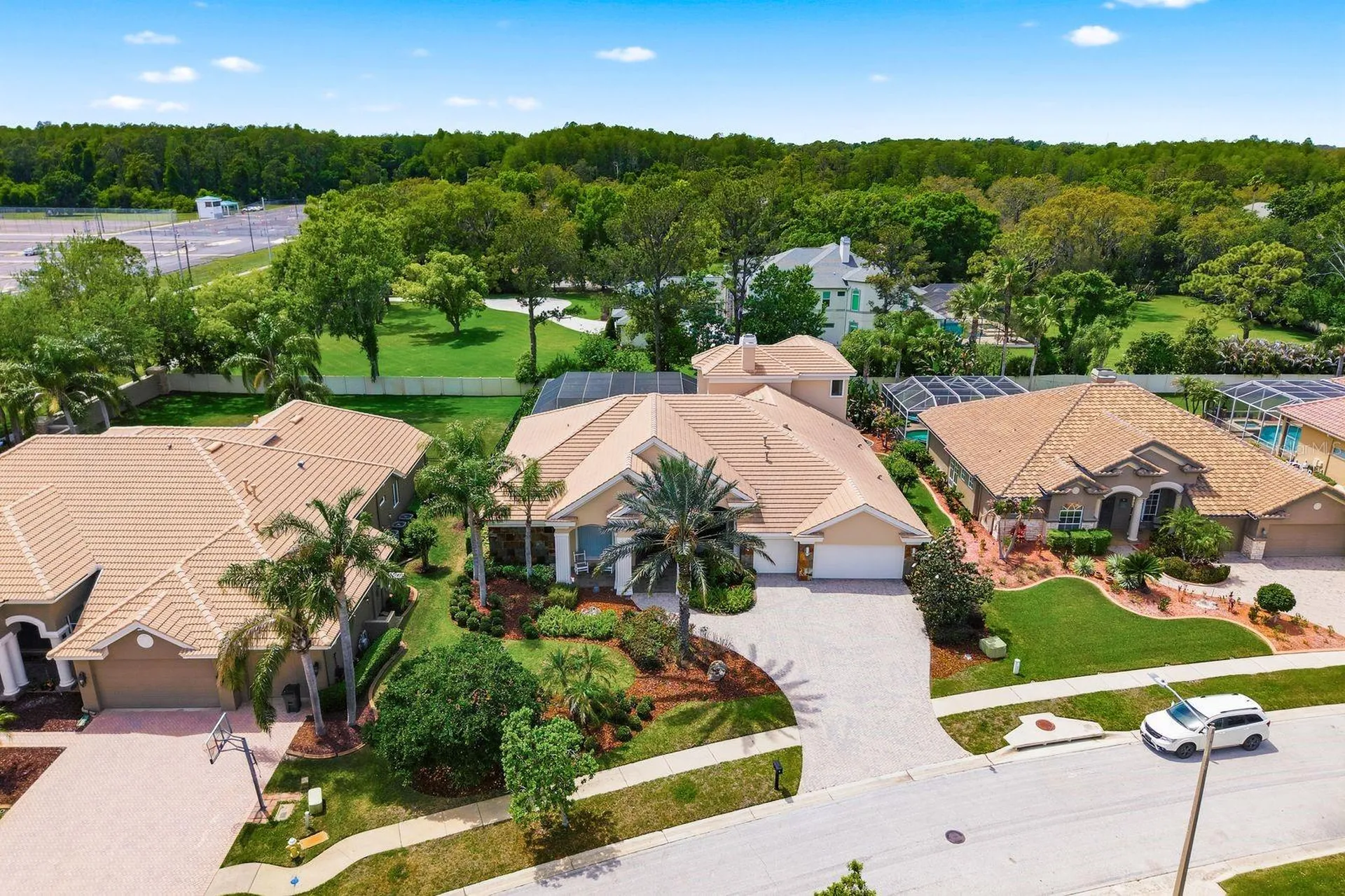 976 Cypress Cove Way Tarpon Springs FL 34688