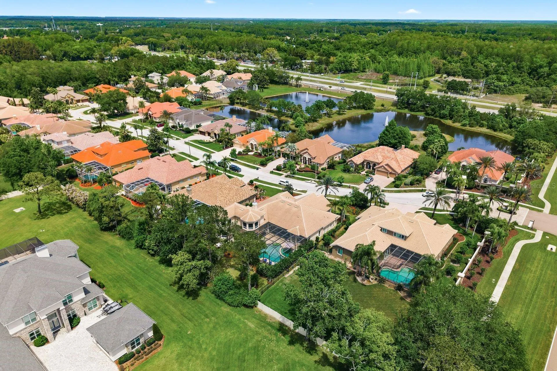 976 Cypress Cove Way Tarpon Springs FL 34688
