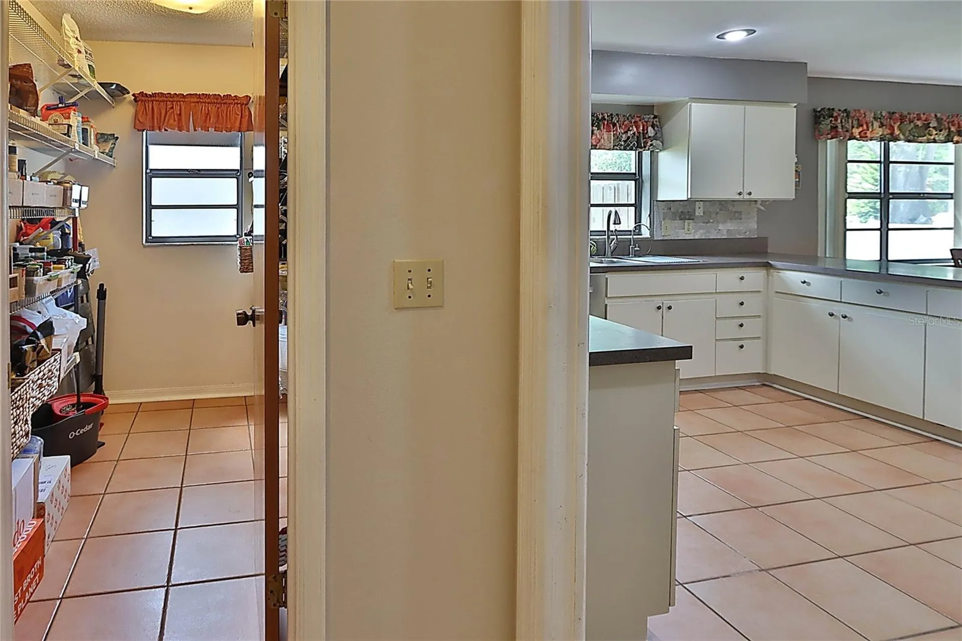 19814 Deer Hollow Lane Lutz FL 33548