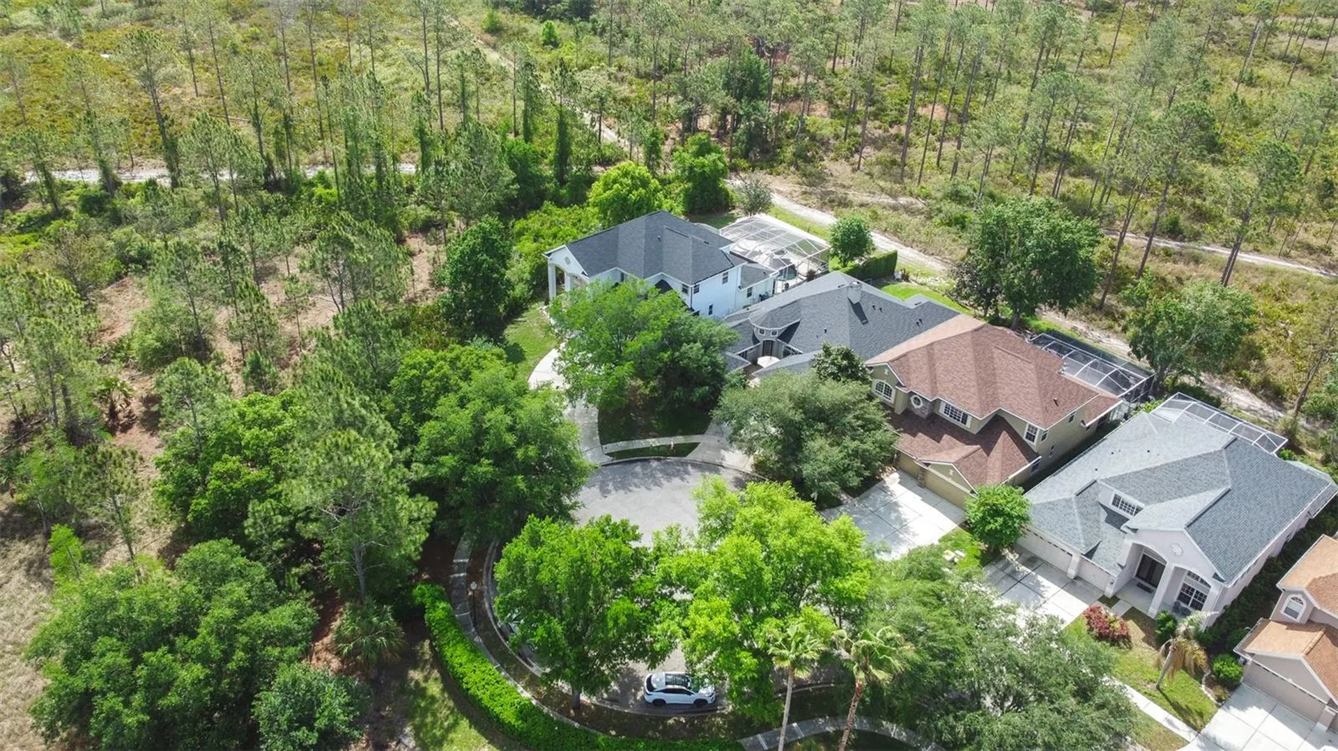 10102 Deercliff Drive Tampa FL 33647