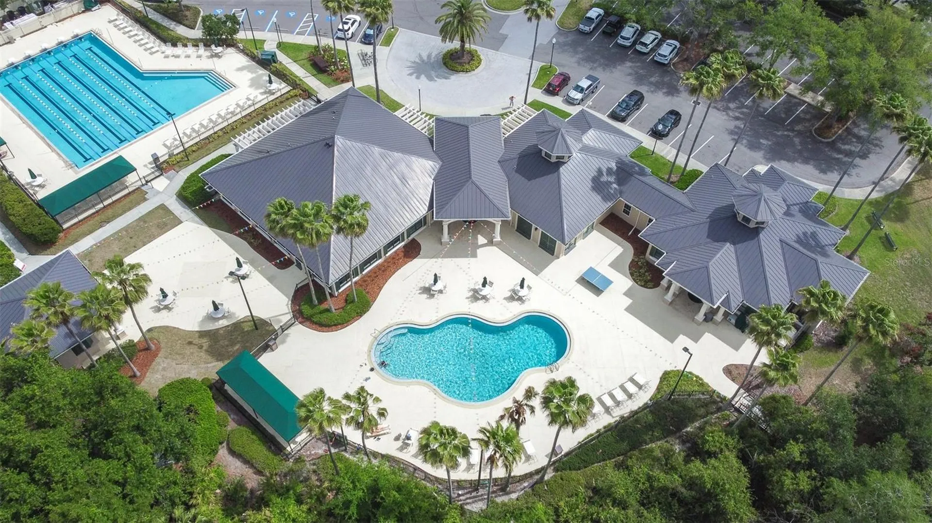 10102 Deercliff Drive Tampa FL 33647