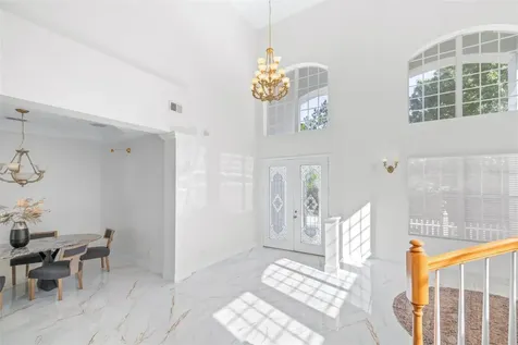 10102 Deercliff Drive Tampa FL 33647