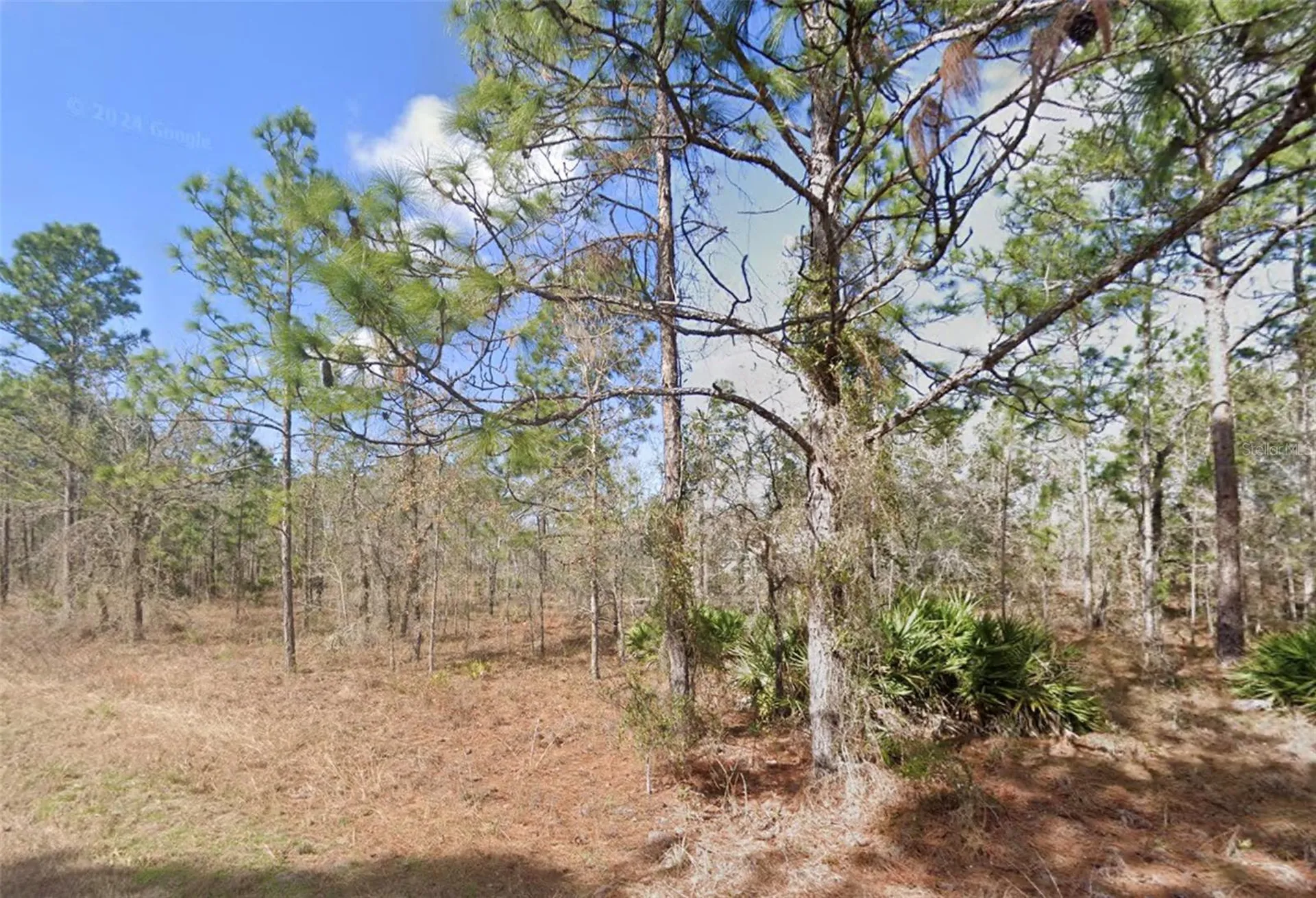13351 Schick Avenue Brooksville FL 34614