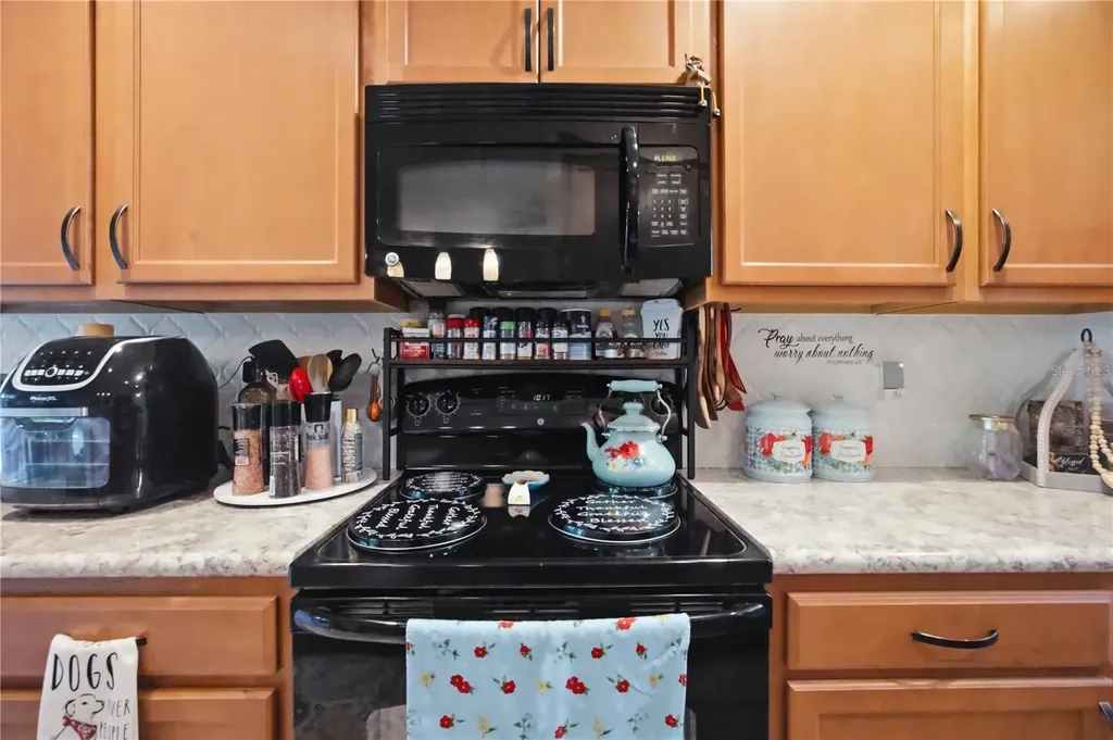 2111 River Turia Circle Riverview FL 33578