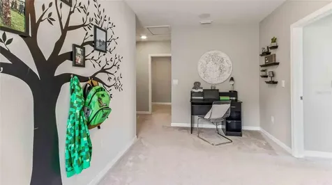 2411 Bender Drive Zephyrhills FL 33541
