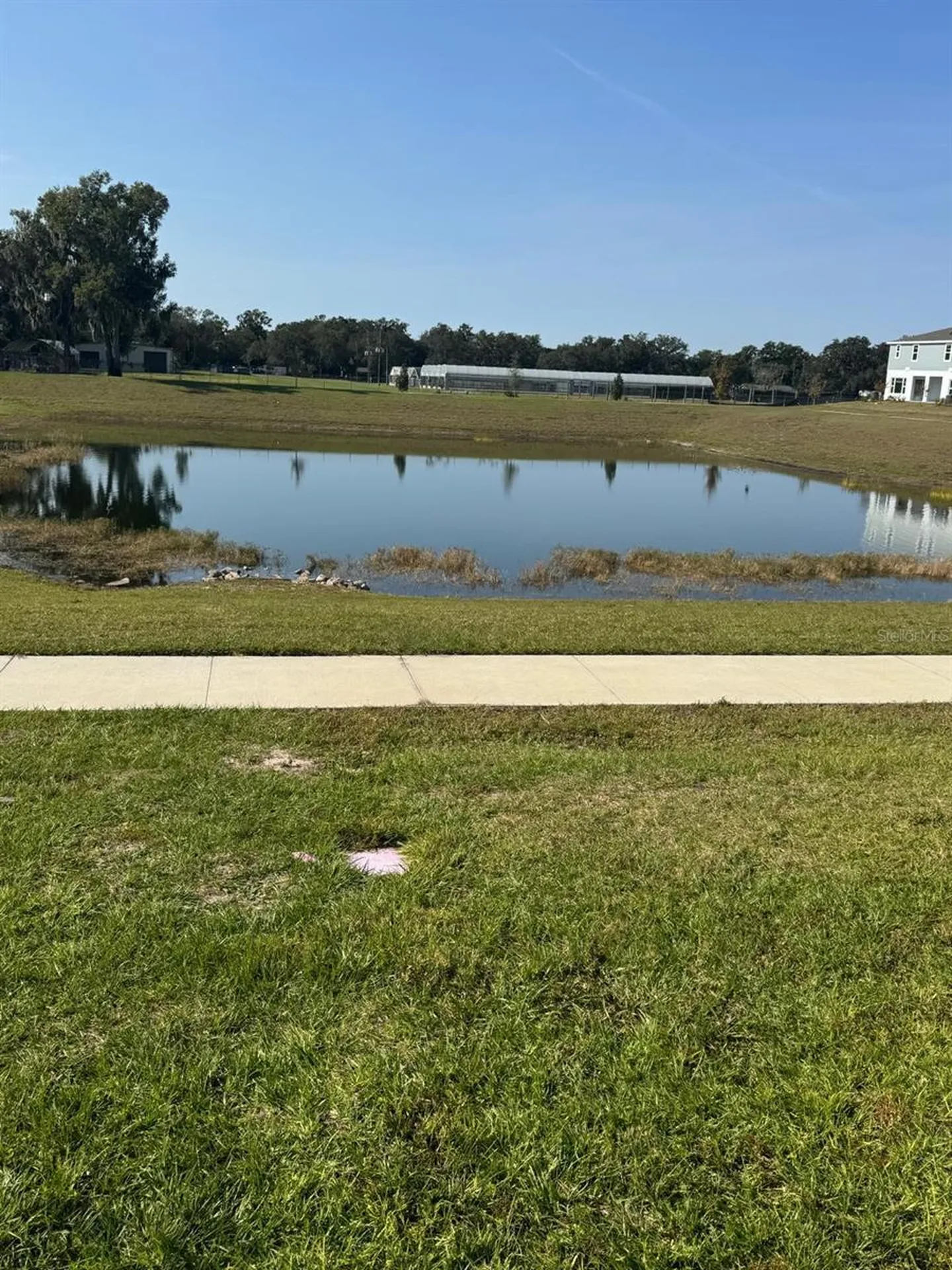 466 Thompson Village Avenue Apopka FL 32703