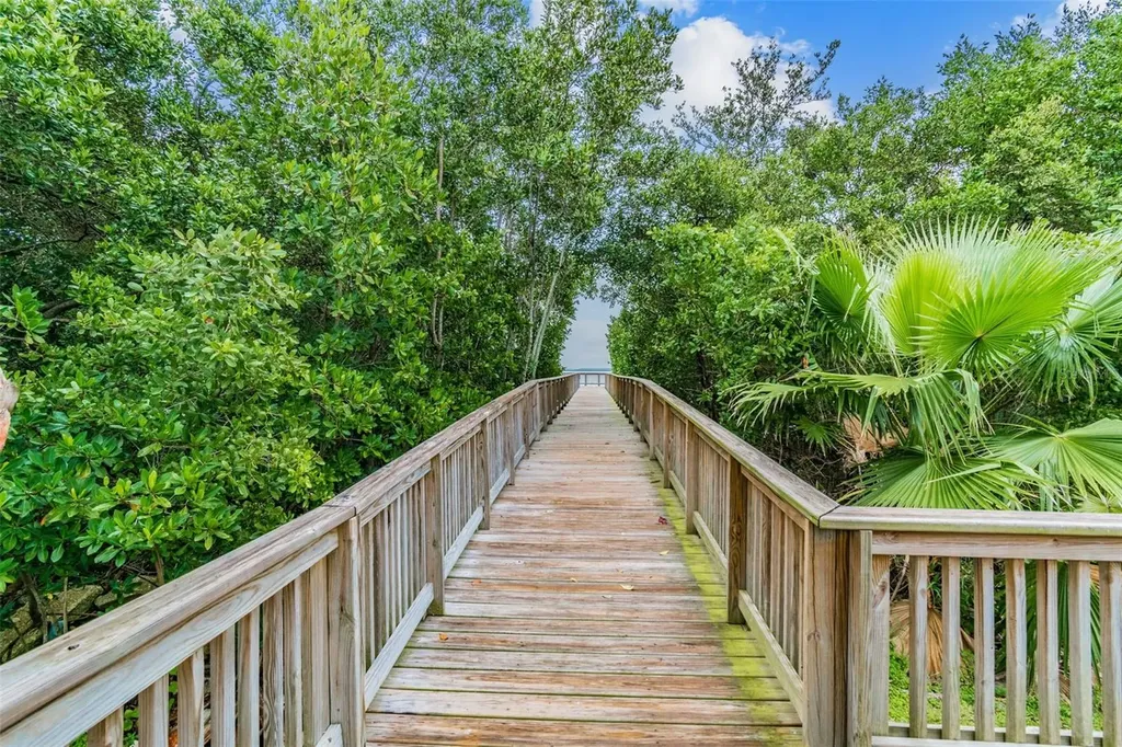3019 Bayshore Pointe Drive Tampa FL 33611