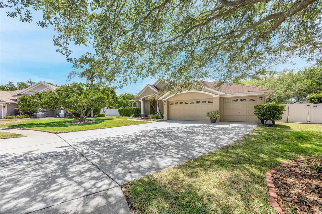 4415 Merrick Run Lane Valrico FL 33596
