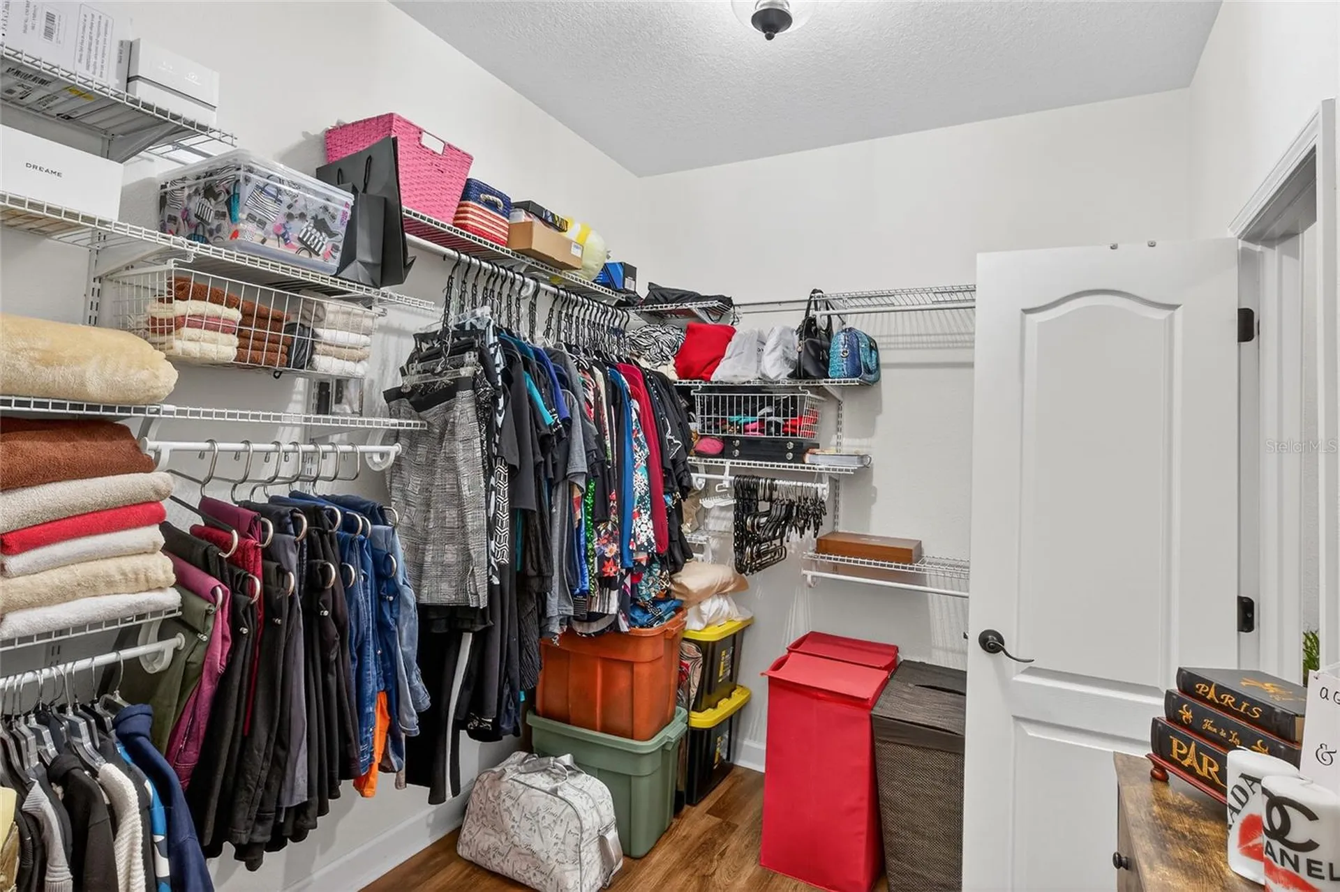 2202 Romanum Drive Winter Garden FL 34787