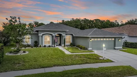 1455 Winding Willow Drive Trinity FL 34655