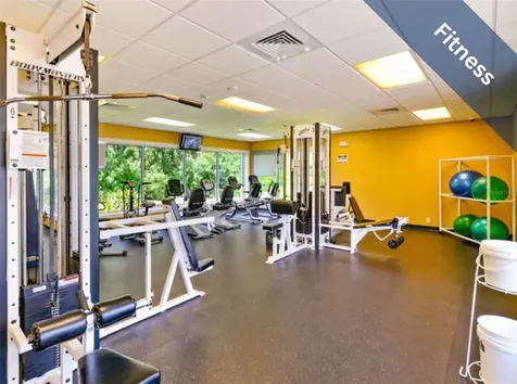 1455 Winding Willow Drive Trinity FL 34655