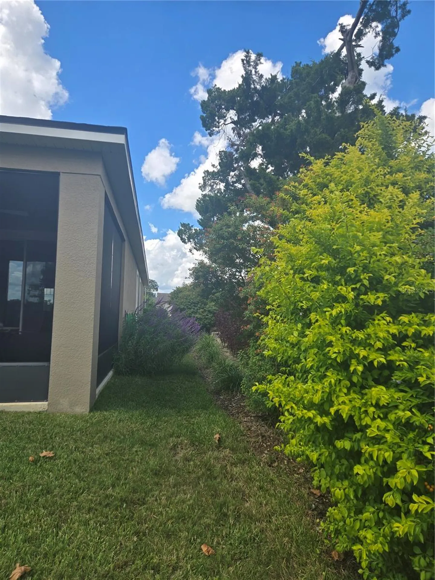 2355 Regency Park Drive Deland FL 32724
