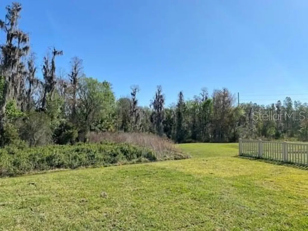 16142 Monterey Greens Circle Tampa FL 33647