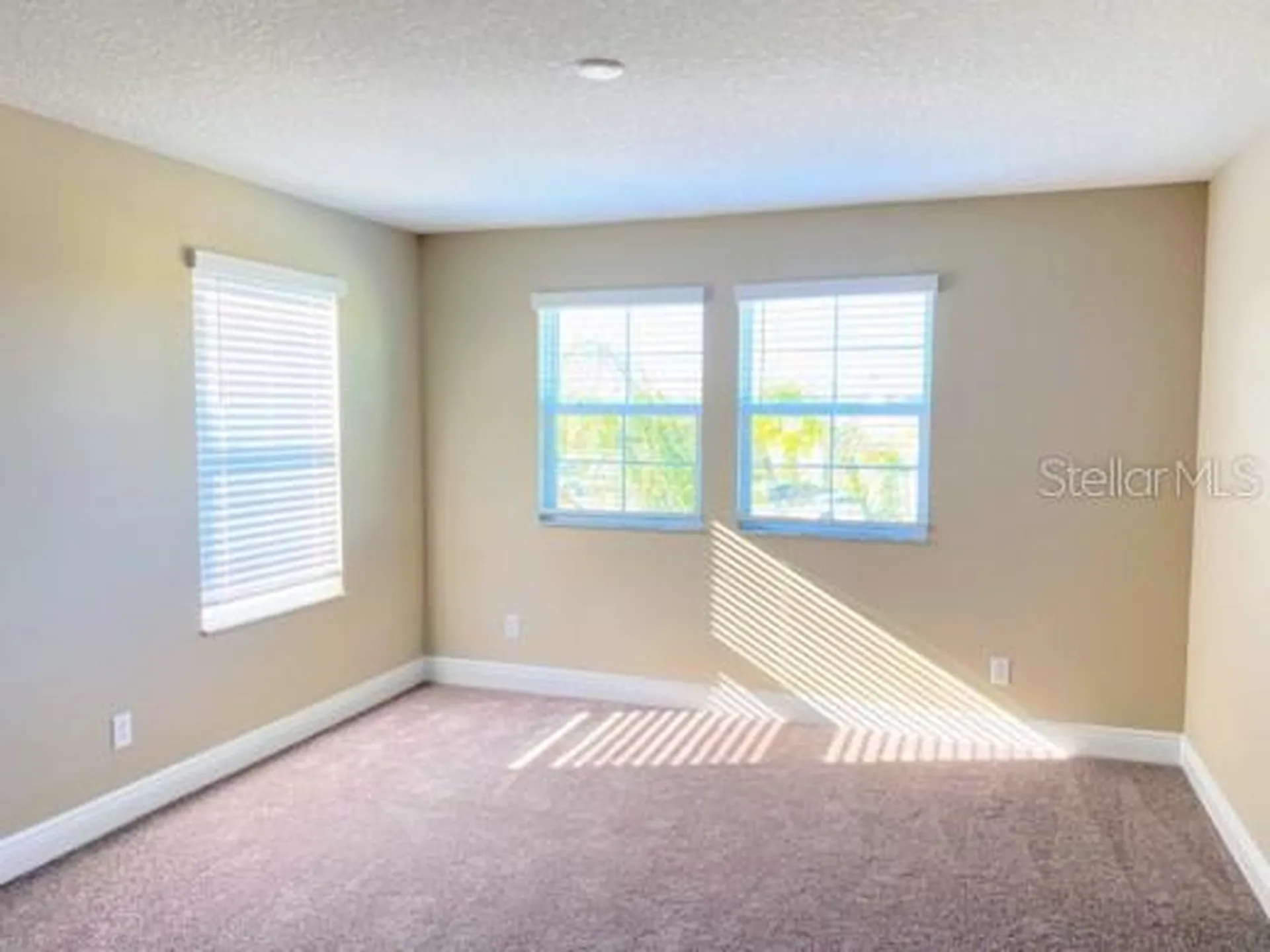 16142 Monterey Greens Circle Tampa FL 33647