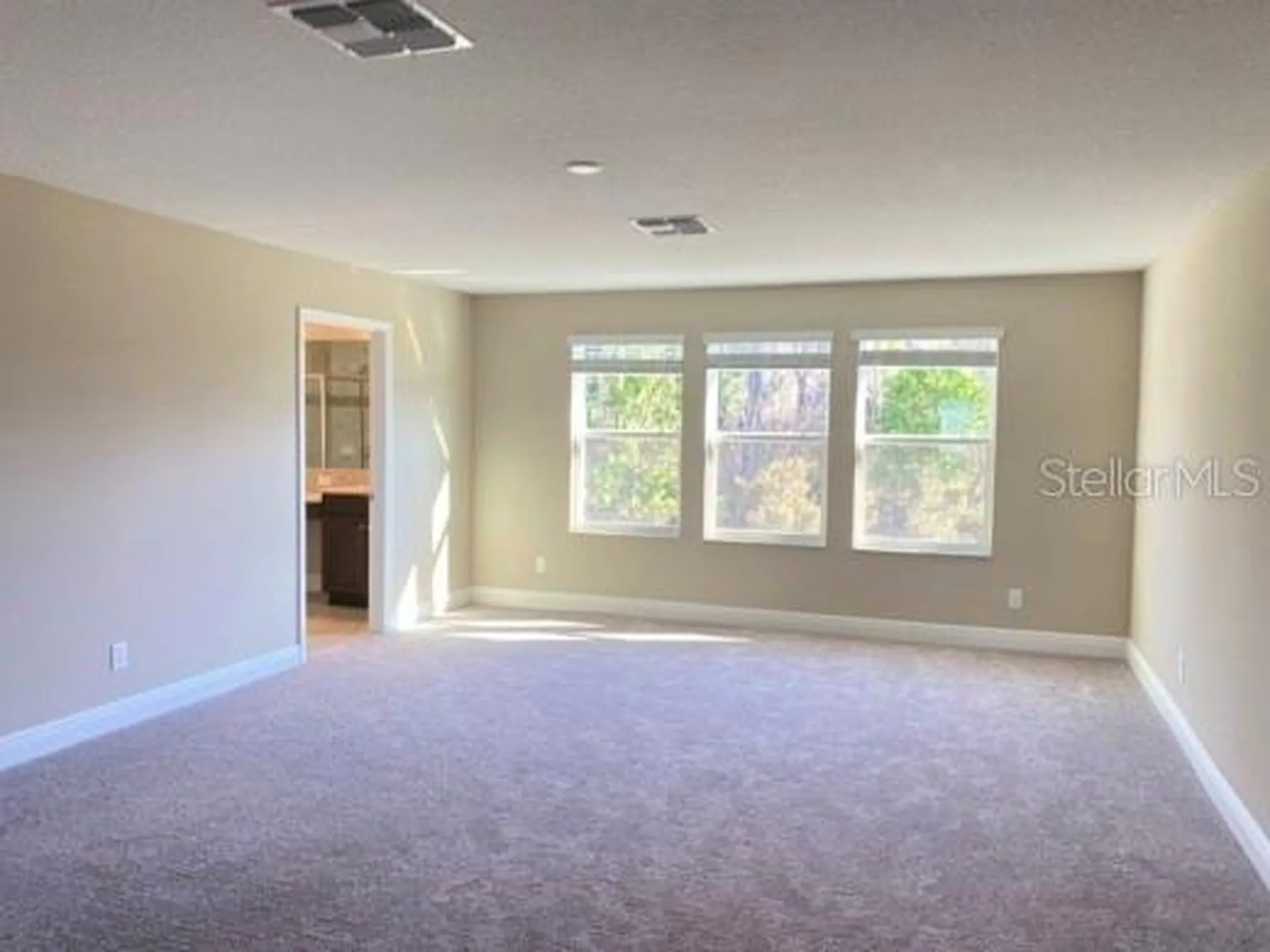 16142 Monterey Greens Circle Tampa FL 33647