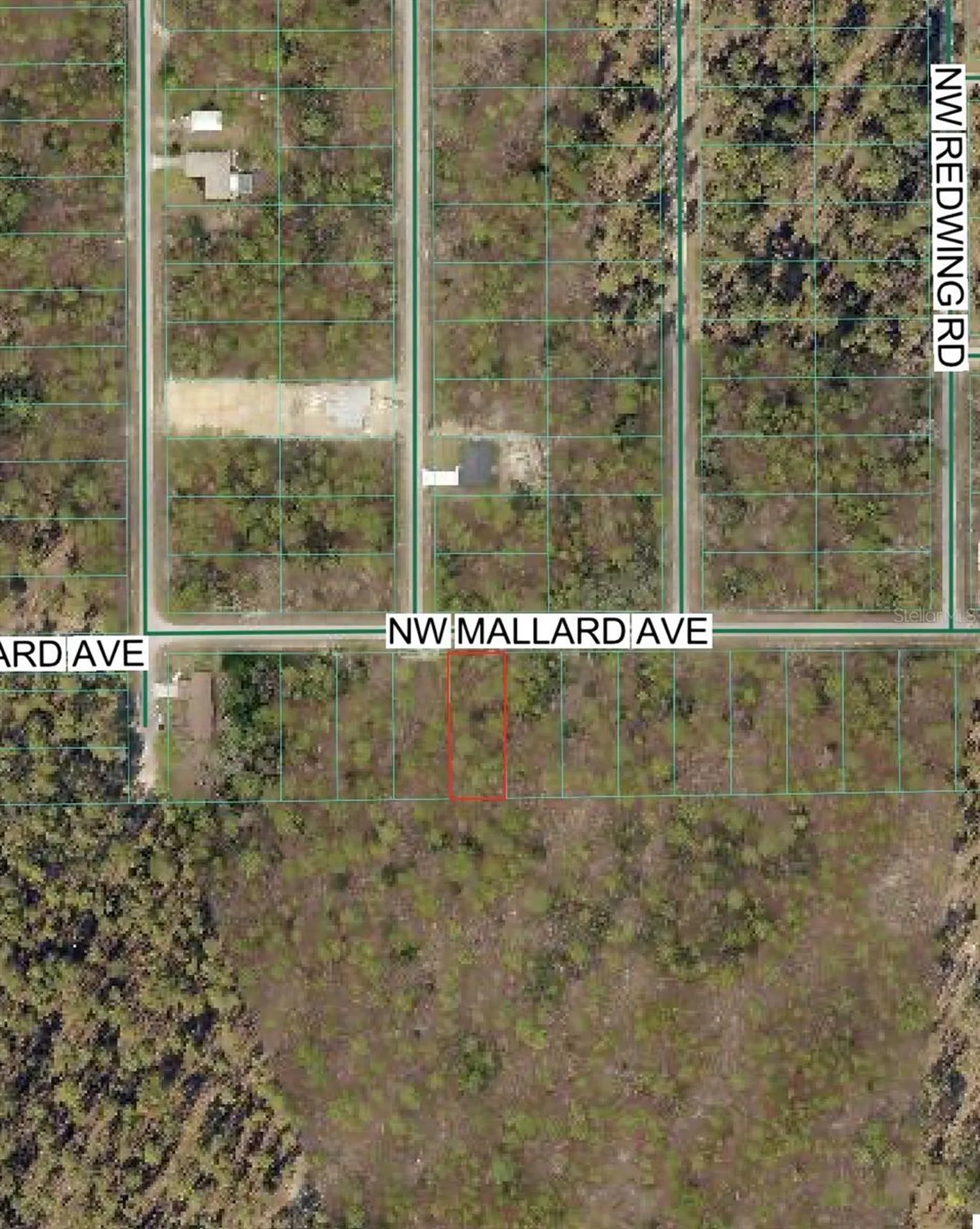 NW Mallard Avenue Dunnellon FL 34431