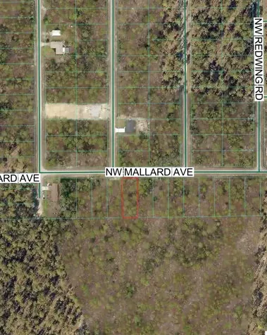 NW Mallard Avenue Dunnellon FL 34431
