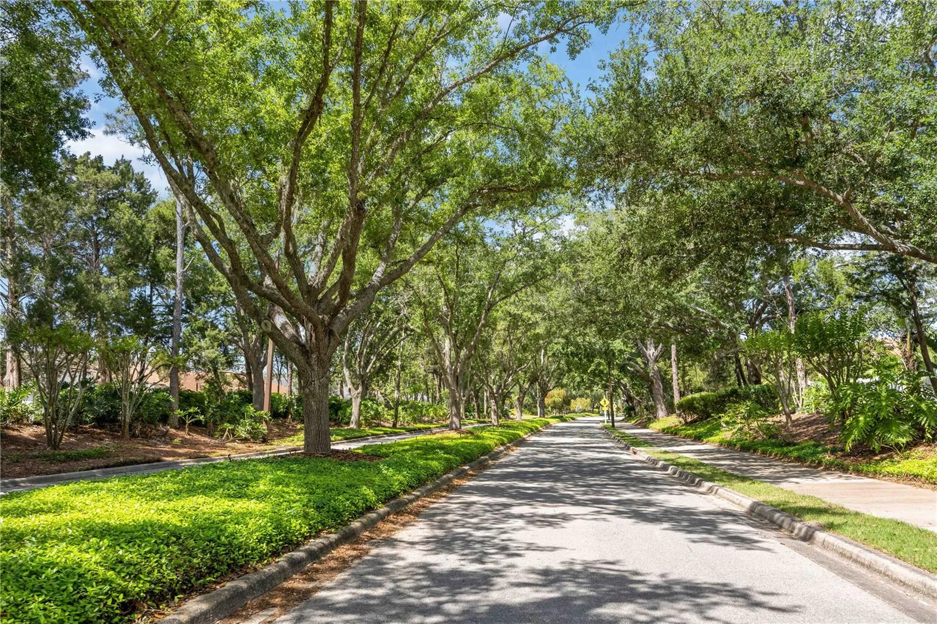 6446 Barberry Court Lakewood Ranch FL 34202
