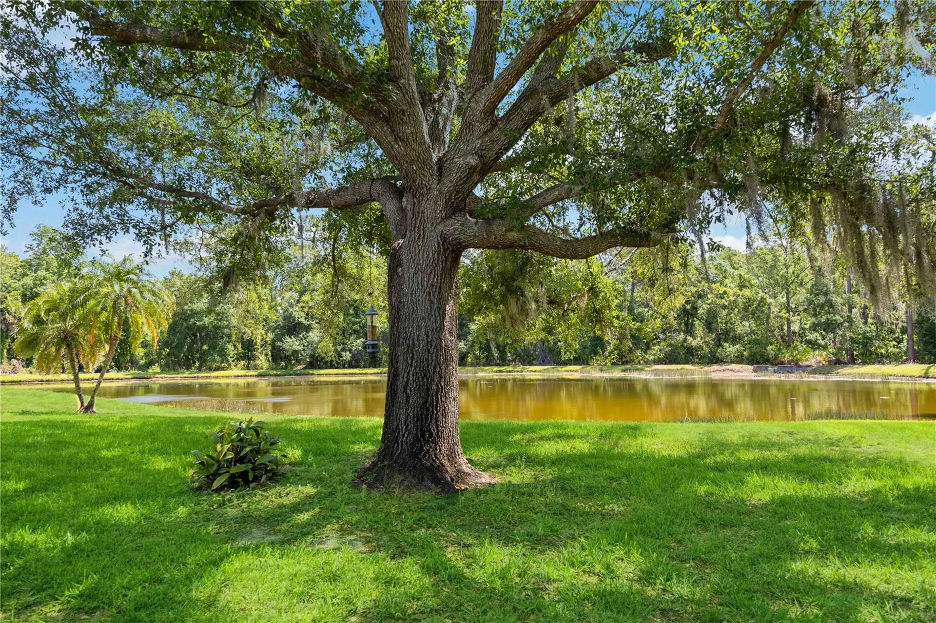 6446 Barberry Court Lakewood Ranch FL 34202