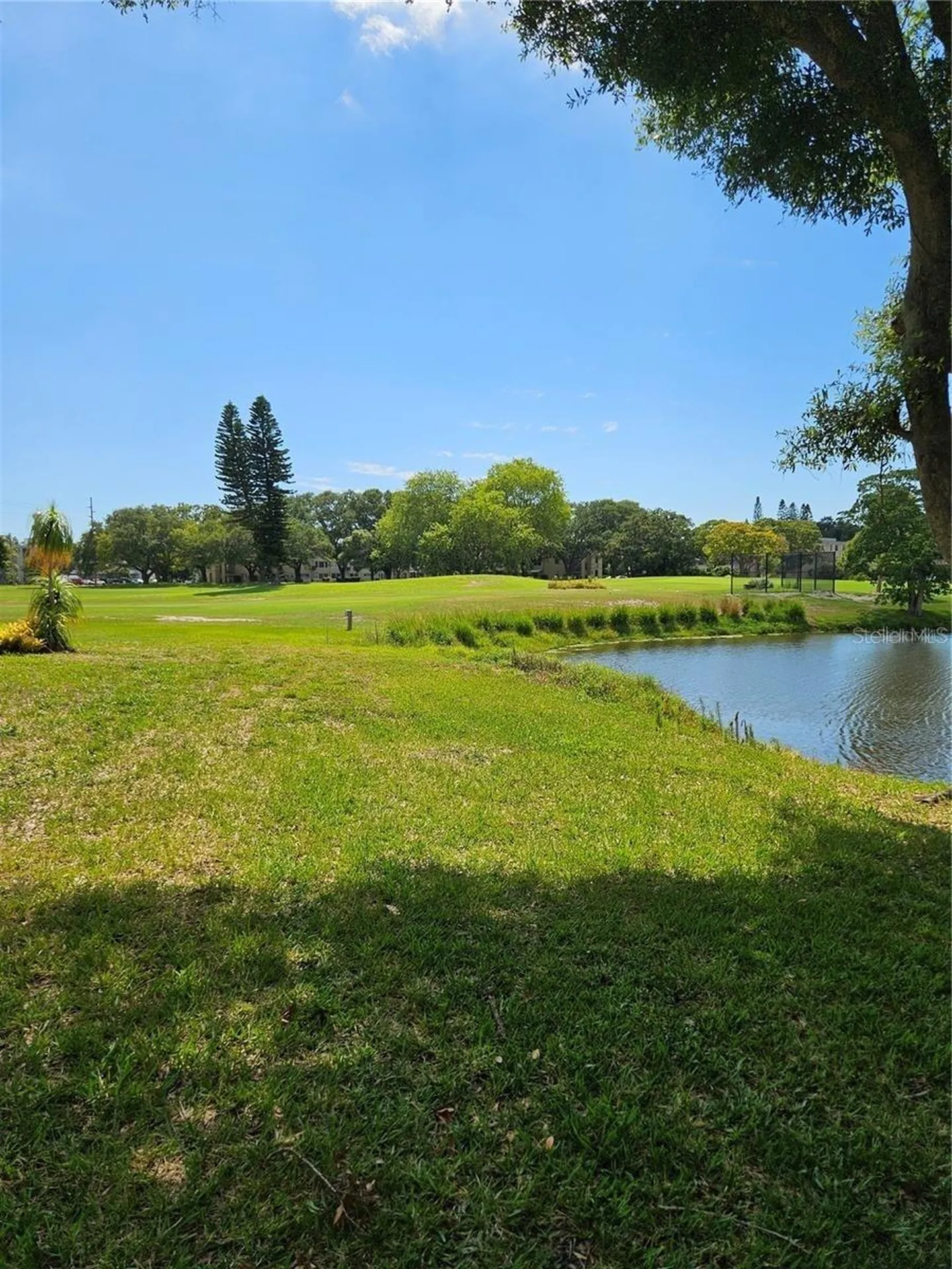 2400 Franciscan Drive Clearwater FL 33763