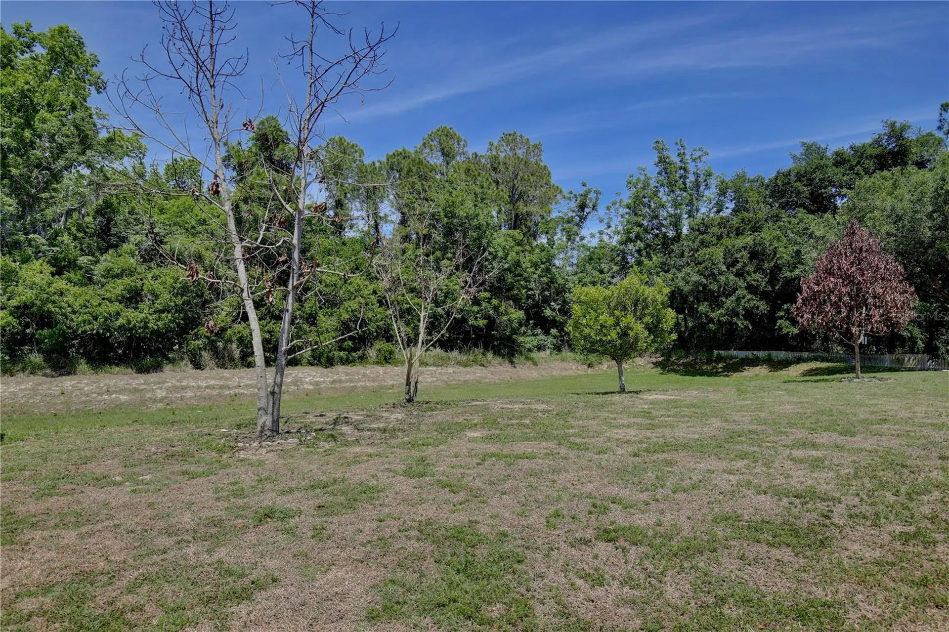 2763 Athens Drive Leesburg FL 34748