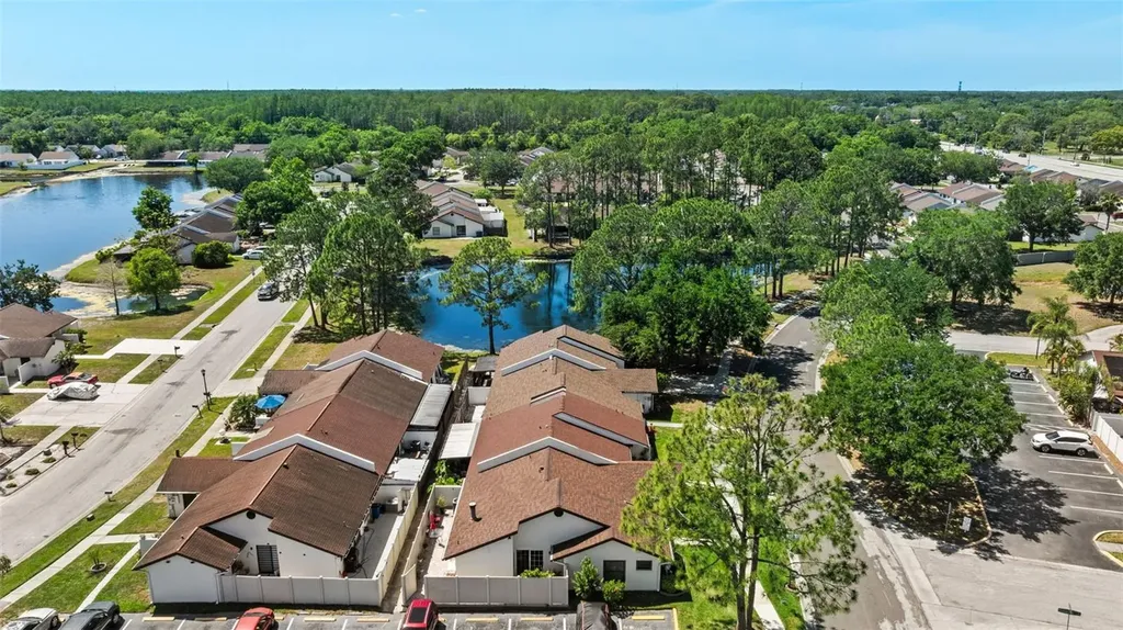 5214 Hopedale Drive Tampa FL 33624