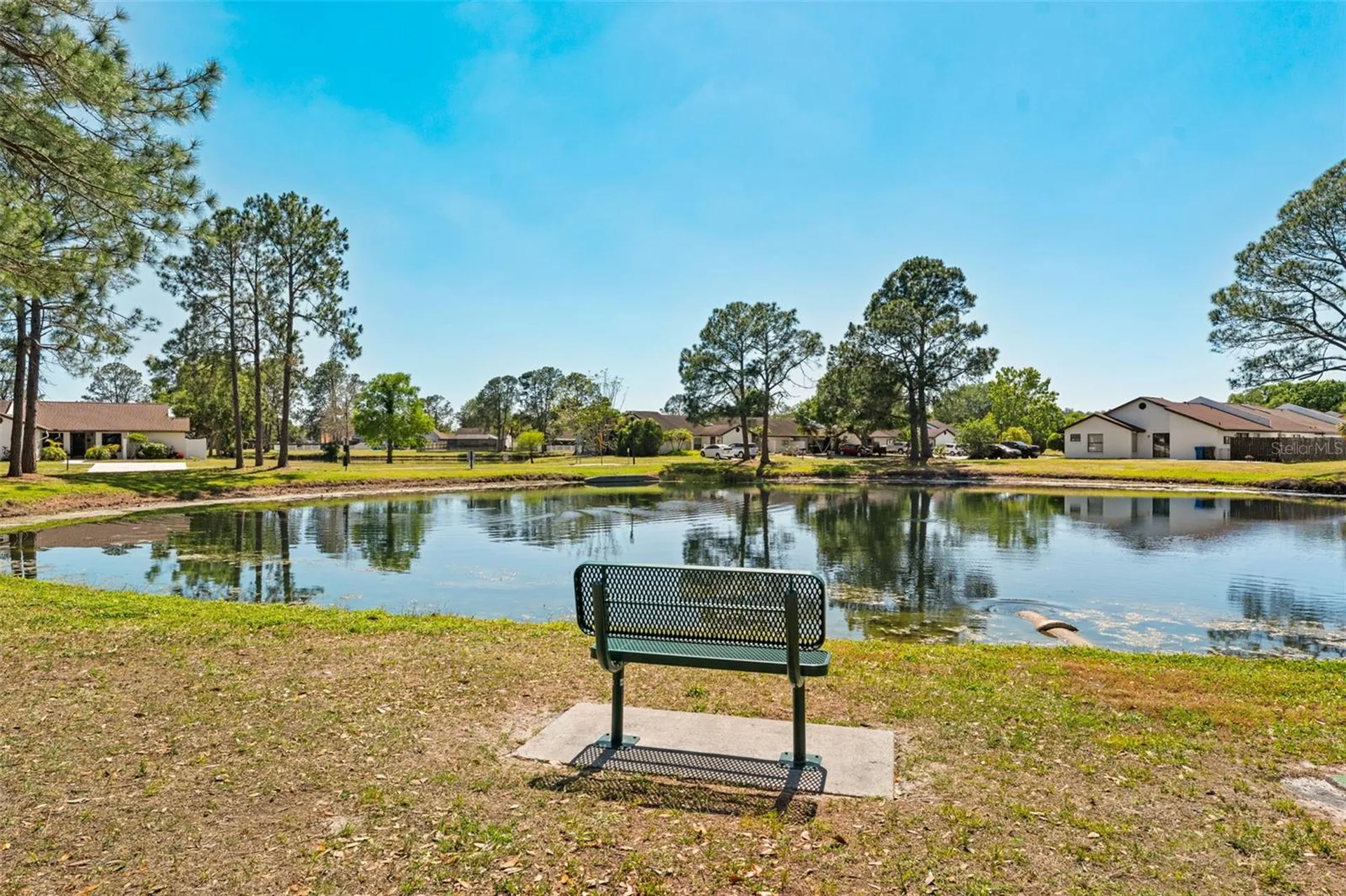 5214 Hopedale Drive Tampa FL 33624