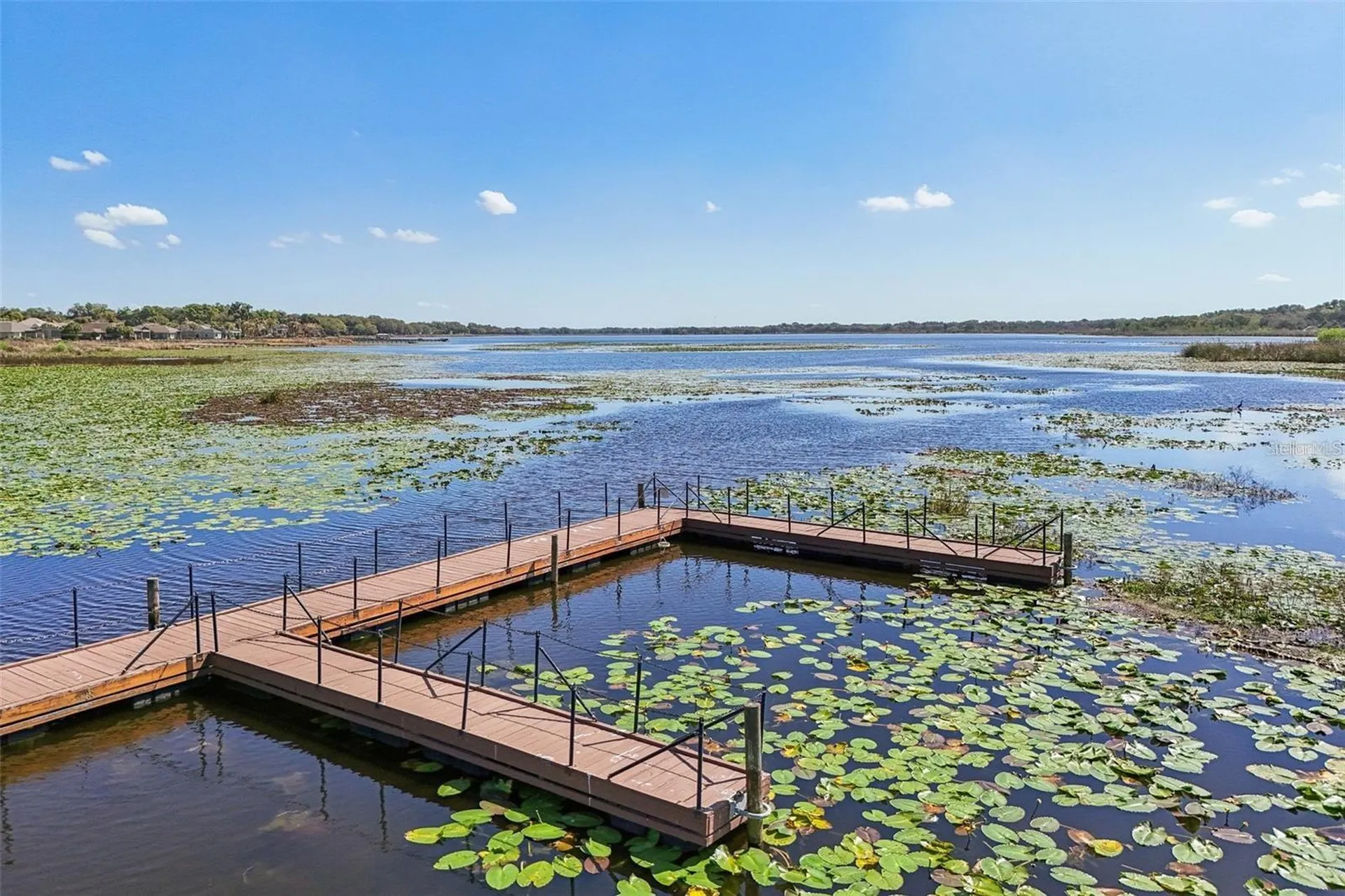10063 Lake Miona Way Oxford FL 34484