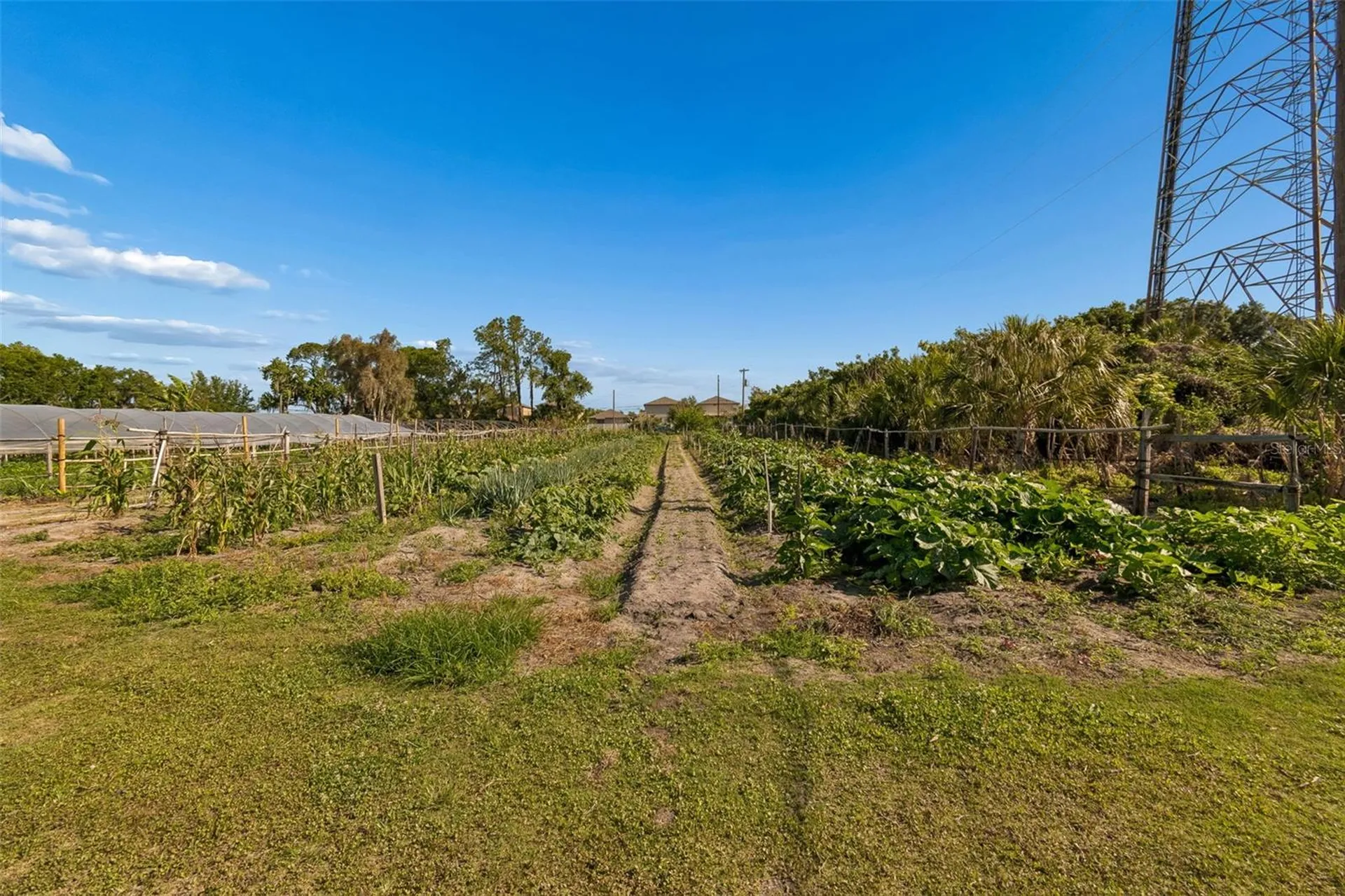11101 Sumner Road Wimauma FL 33598