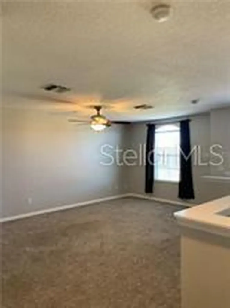 2095 Velvet Leaf Drive Ocoee FL 34761