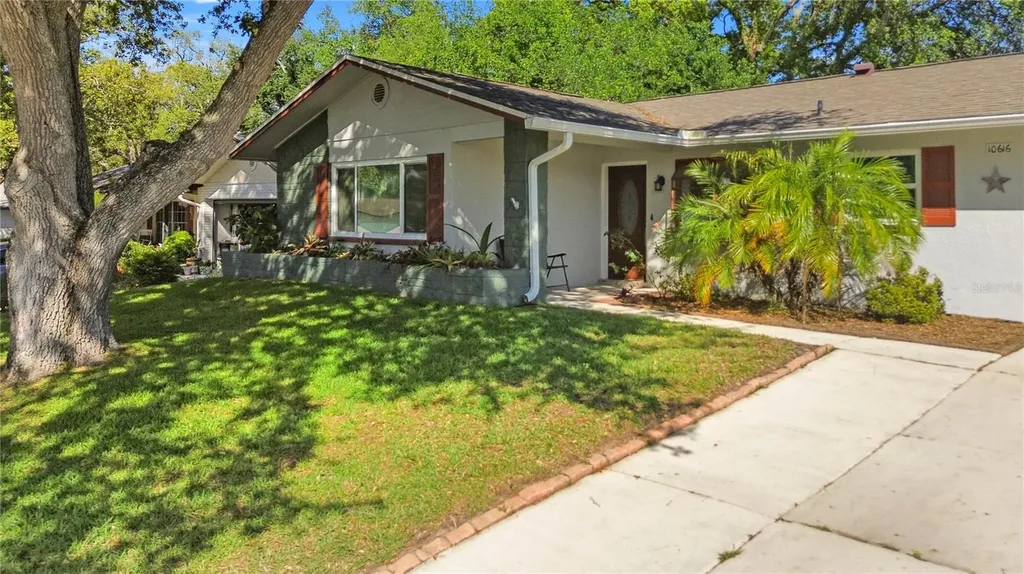 10616 Springwood Drive Port Richey FL 34668