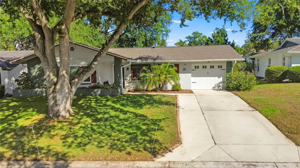 10616 Springwood Drive Port Richey FL 34668