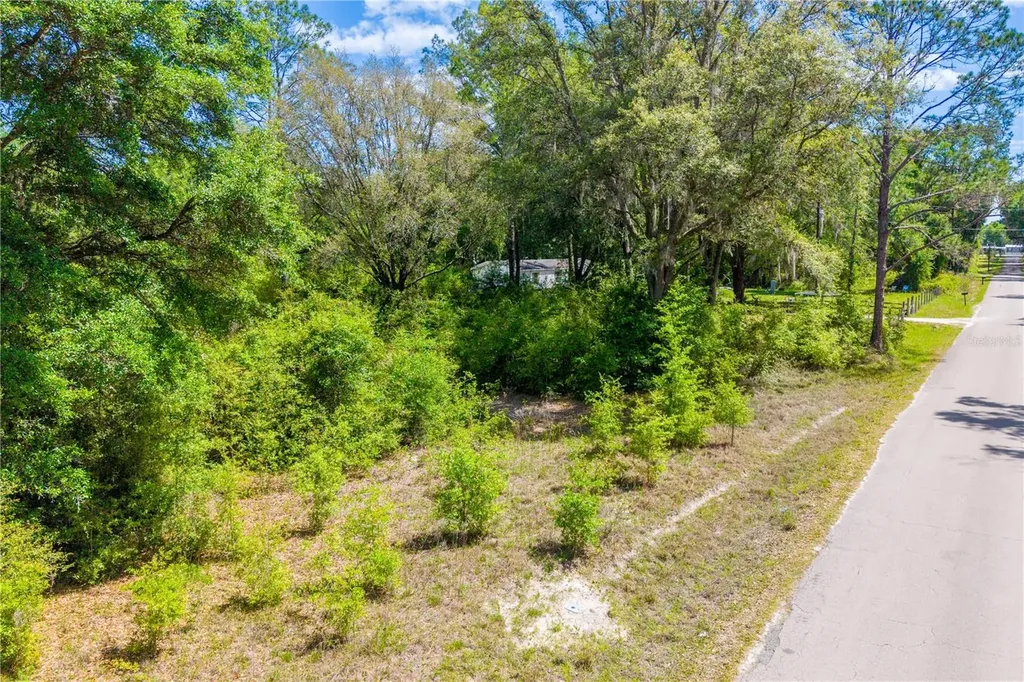 Tbd SW 52nd Terrace Lake Butler FL 32054
